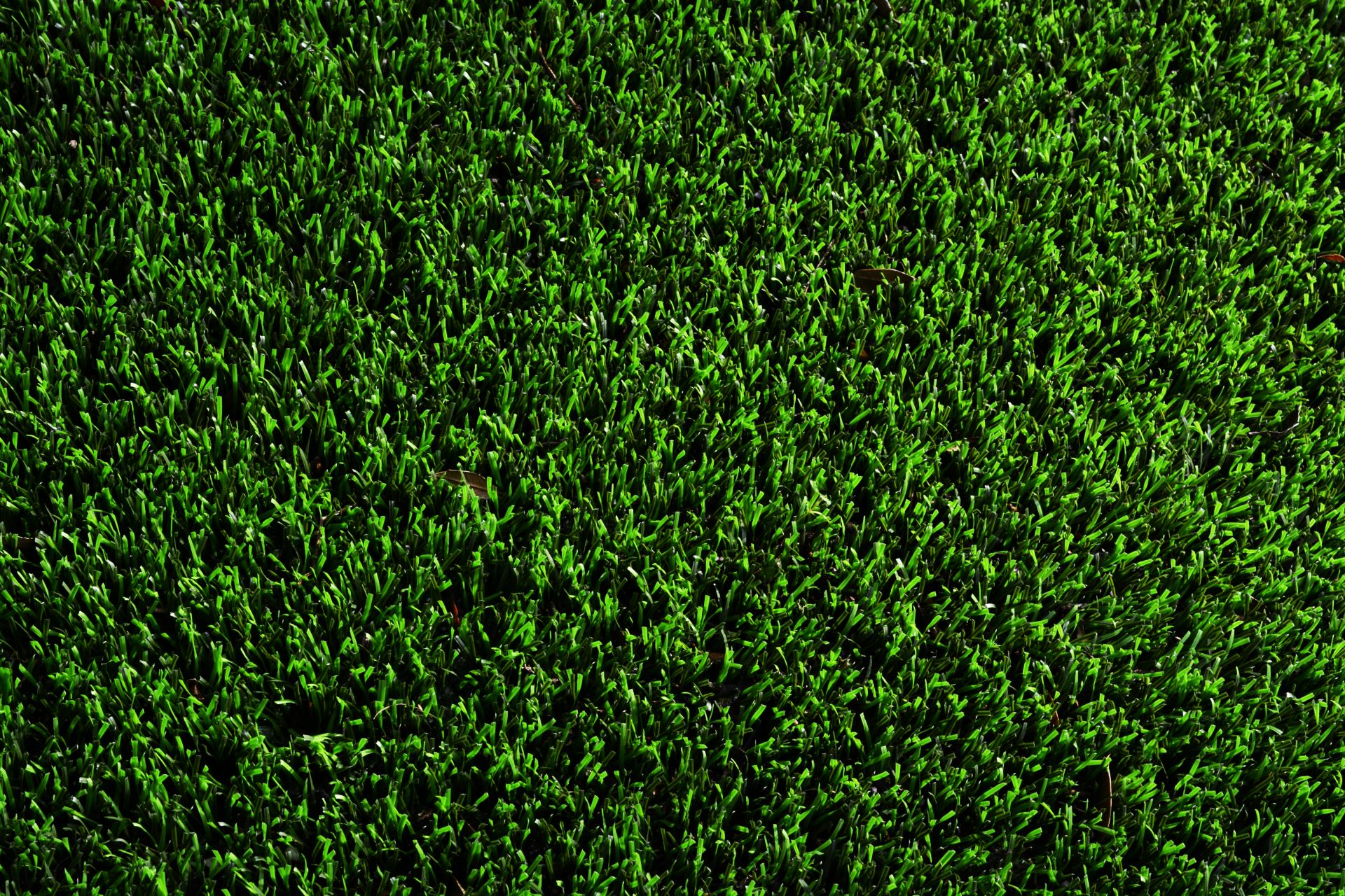 Close-up texture of vibrant green lawn showcasing high-quality synthetic turf installation with dense, realistic grass blades for durable, low-maintenance landscaping.